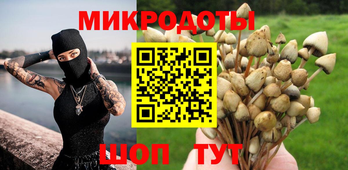 Галлюциногенные грибы GOLDEN TEACHER Тверь