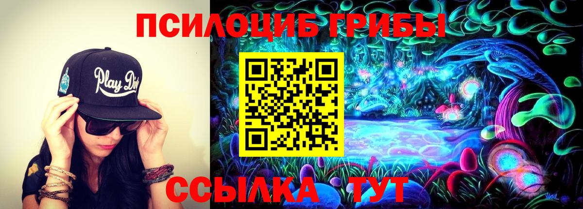 Галлюциногенные грибы Psilocybine cubensis  сколько стоит  Тверь  Вход с VPN 
